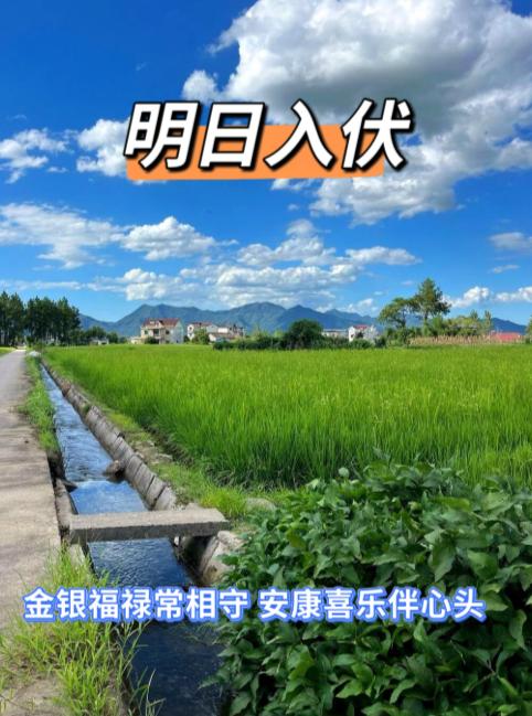 明天入伏，无论多忙，建议“吃3样，做3样，忌3样”，平安度过三伏天

明天，7月