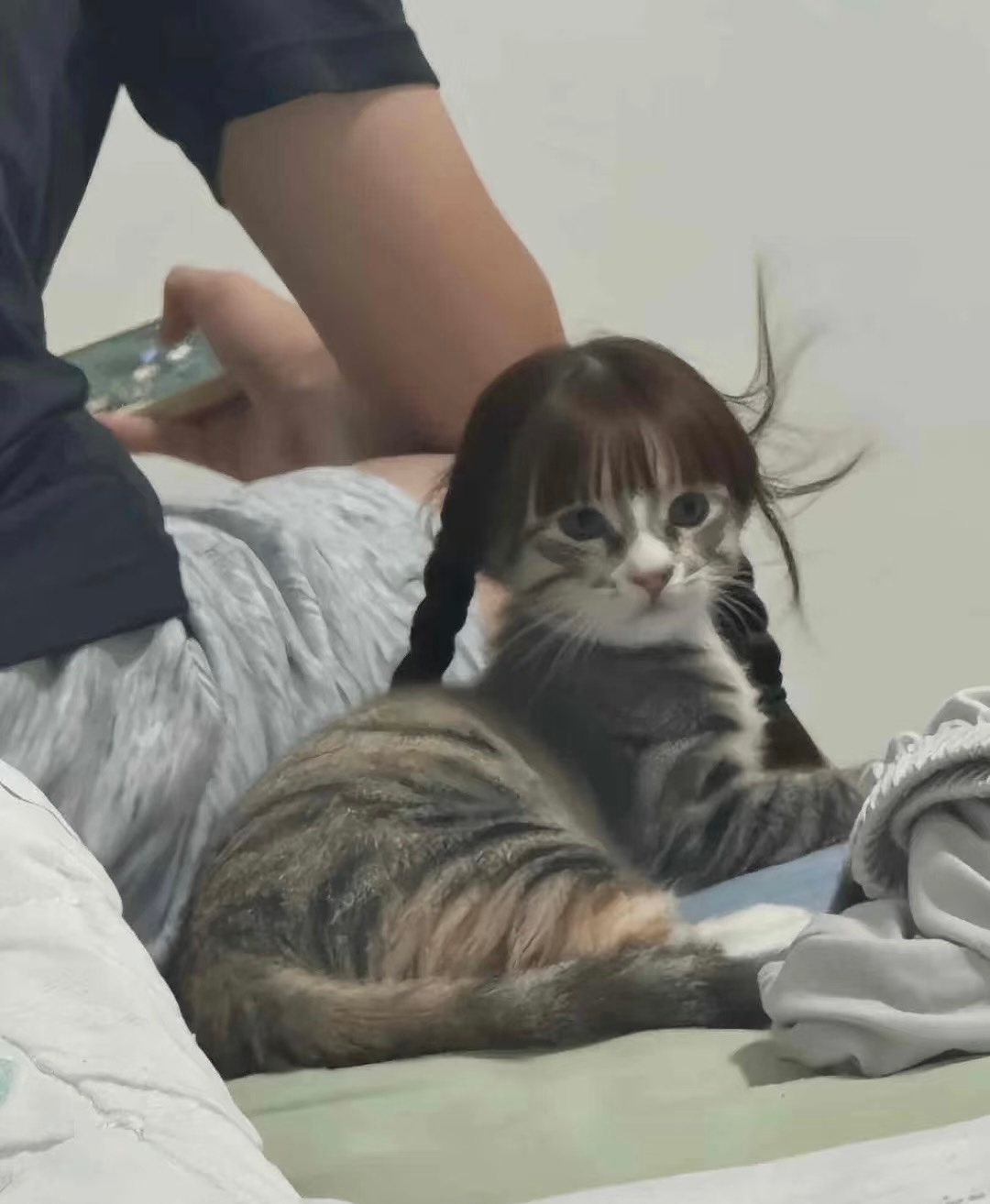 算了， 跟你们不养猫的说不清楚 ​​​