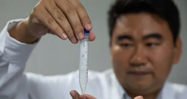 二氧化碳 中国科学家首次实现二氧化碳变淀粉，“空气变馒头”不是梦