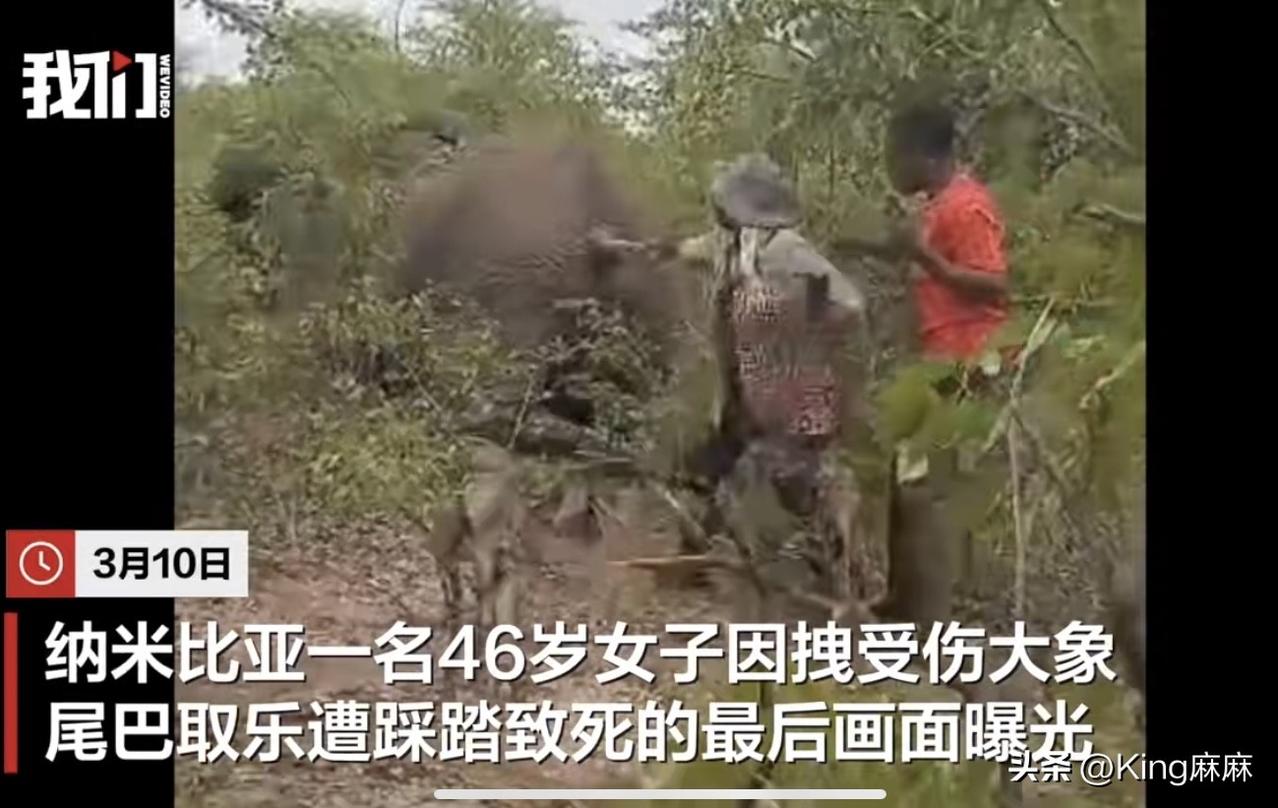 “真是不作不会死！”3月10日，纳米比亚一名女子拽大象尾巴被踩死的视频曝光，视频