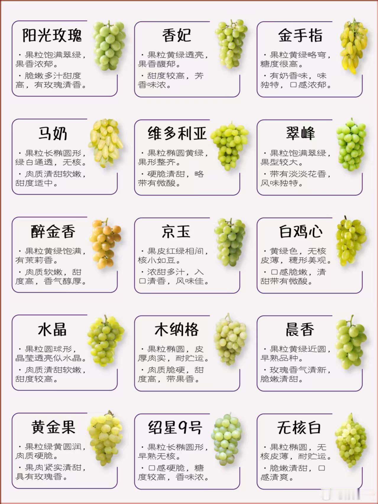 10颗葡萄干里9颗来自吐鲁番 吐鲁番，葡萄干的天堂！九成以上产量在此汇聚，500