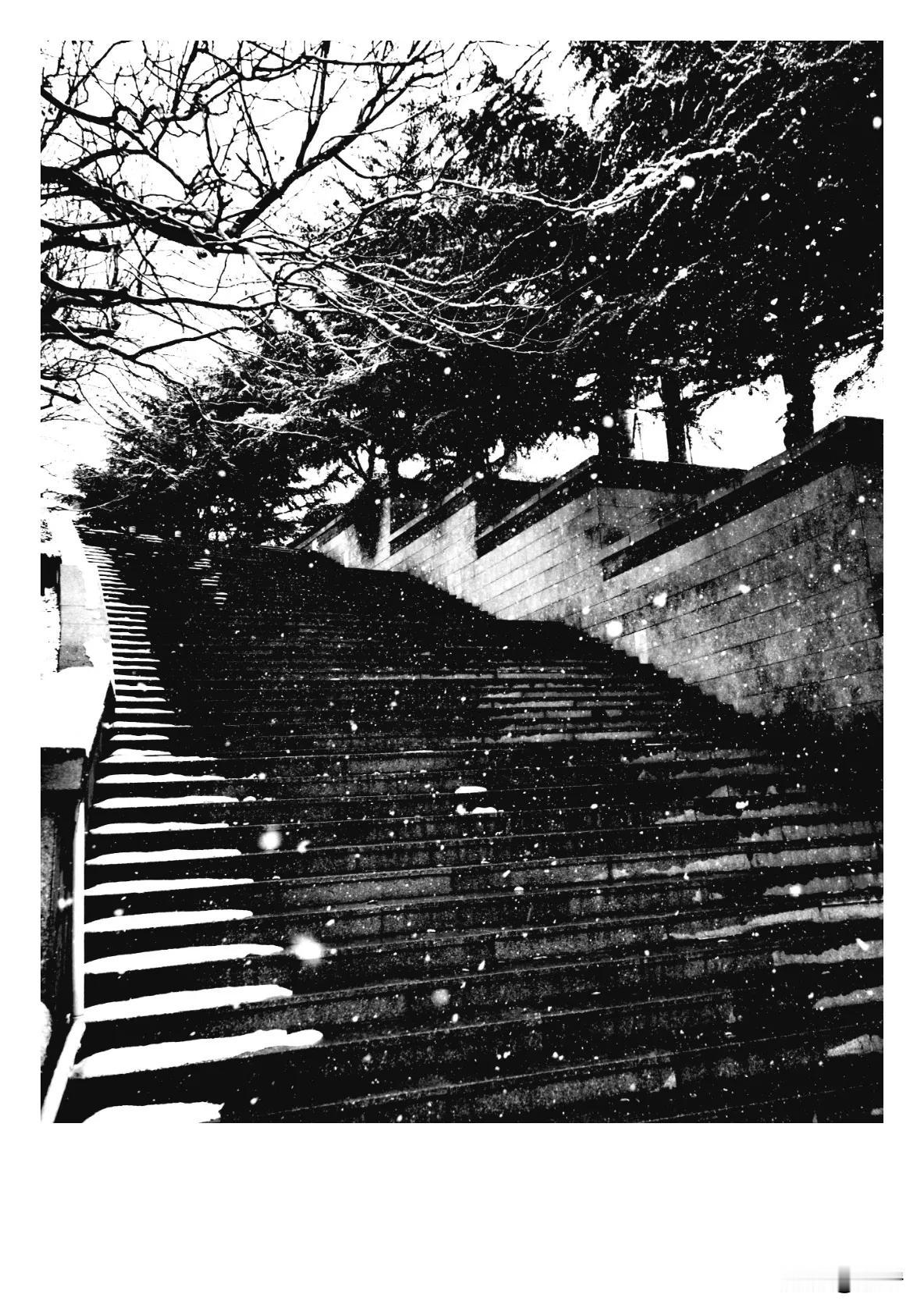 青岛南昌路
去年冬天的一场雪
#非相系列#街拍