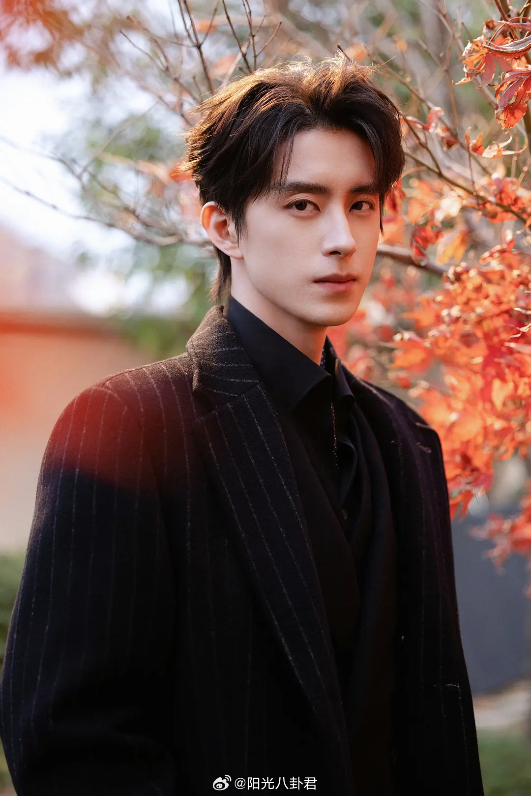 有没有觉得邓凯敖瑞鹏像的！！ 