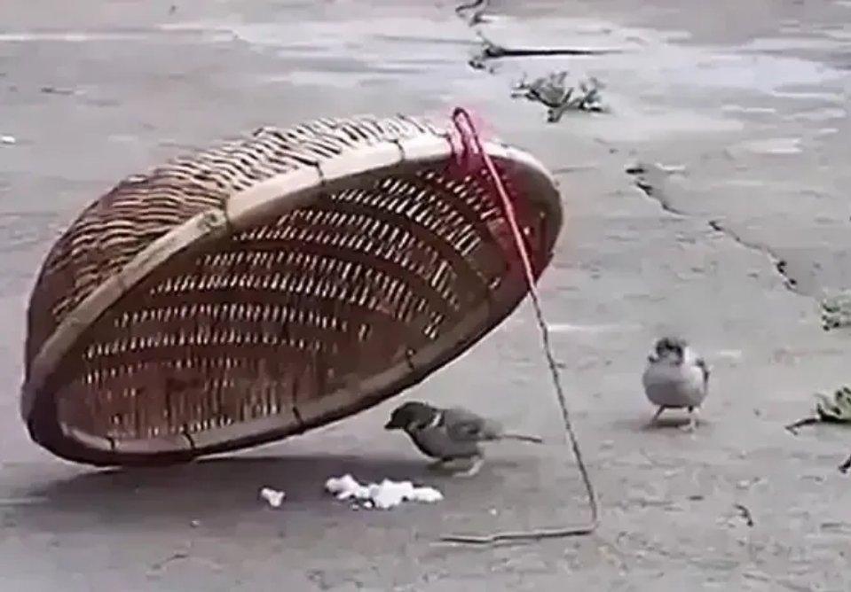 跟着国际资本追涨杀跌，终究会栽在懂王的资本套路里。一时的浮盈根本不算数，只要还身