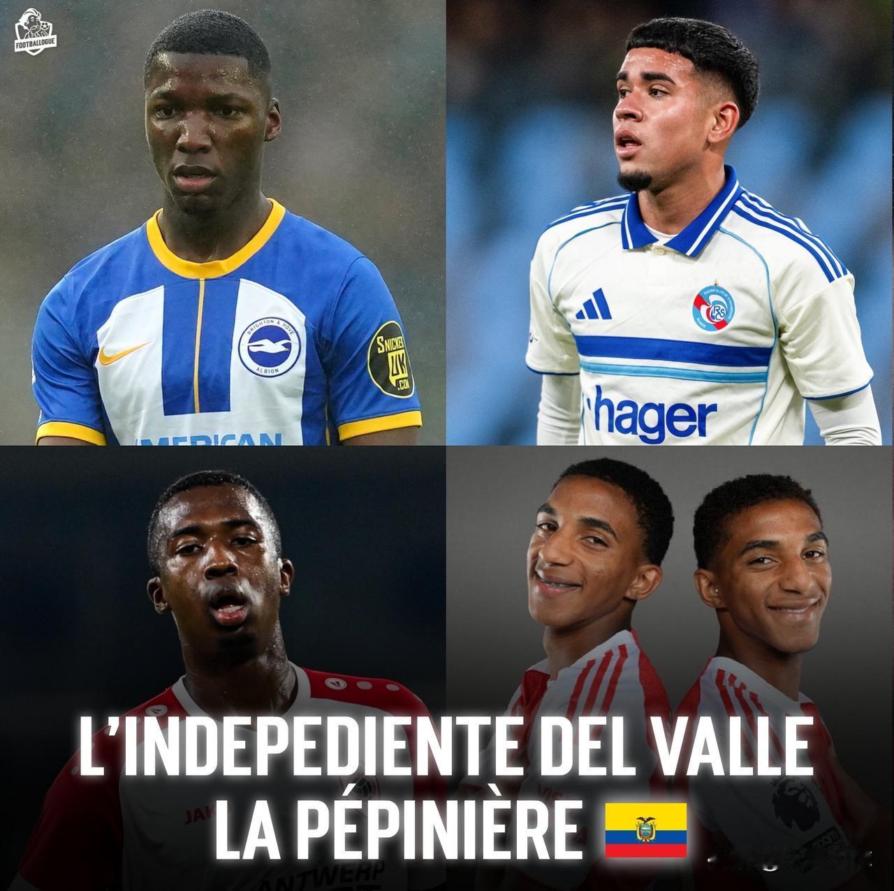 近年来，厄瓜多尔独立队出售的青年才俊数量简直惊人！ 

👉 凯塞多（转会布莱顿