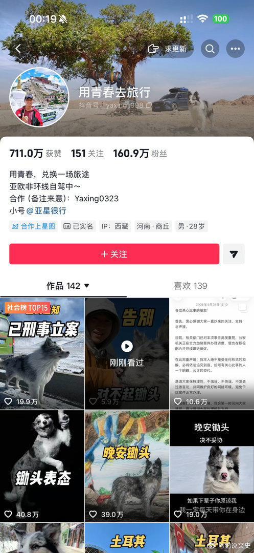 网红边牧锄头鉴定价值超2000元商业价值能被估算加在一起吗