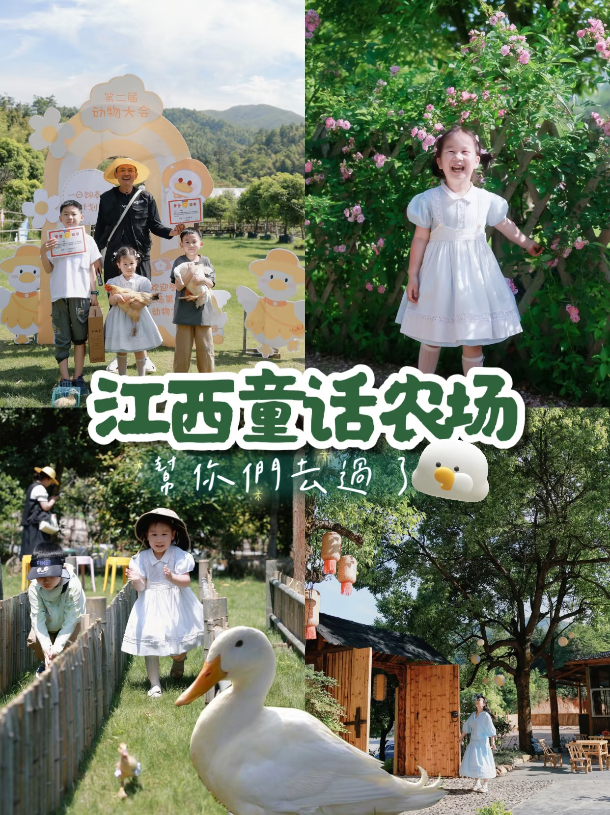 帮你们去过了！这个童话农场值得来