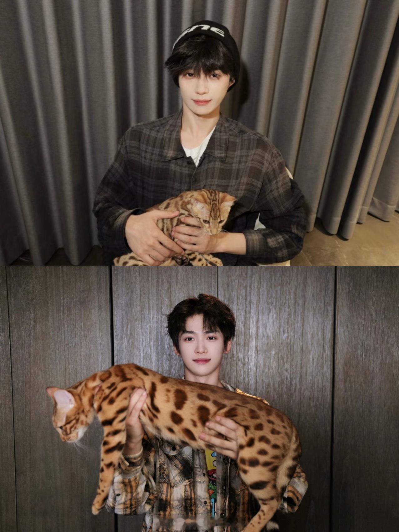 梓渝晒猫感觉大鱼长胖了🐱爱人如养花，爱猫如养猪哈哈哈哈 