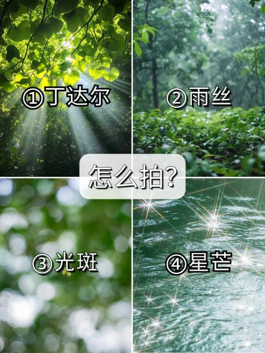 一篇学会摄影的4大拍摄技巧📸