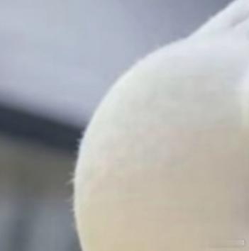 0000克服惰性和游离的心绪，投入理性而自律的生活。勤奋是你生命的密码,能译出你