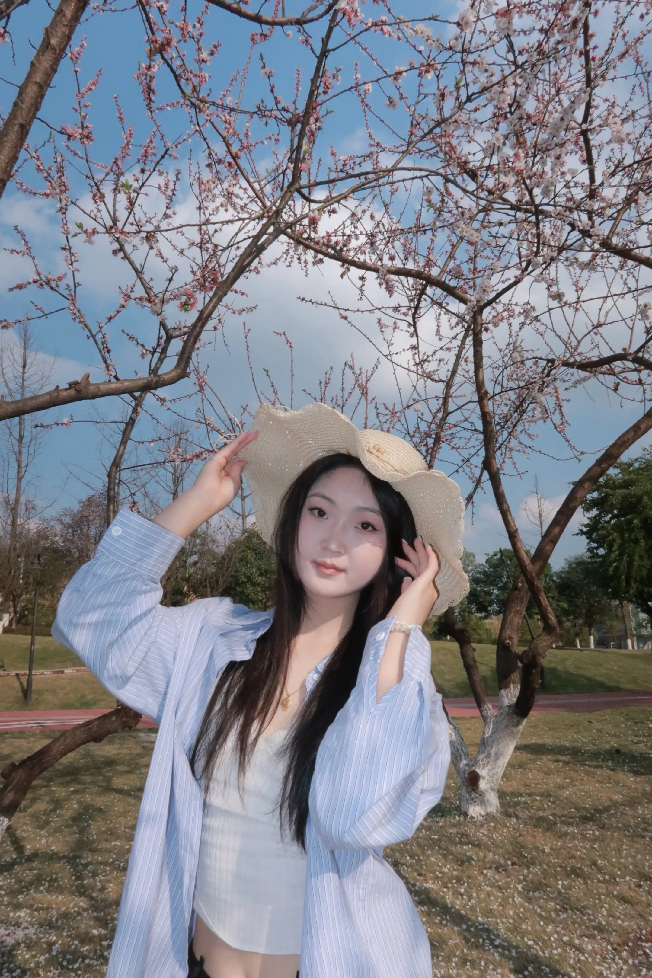 🌷和春天见面🍃🌤️ 🌸 🌸听歌🎶