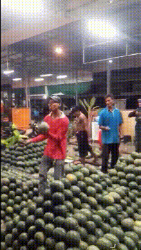 别人度假我搬砖
开心一天是一天