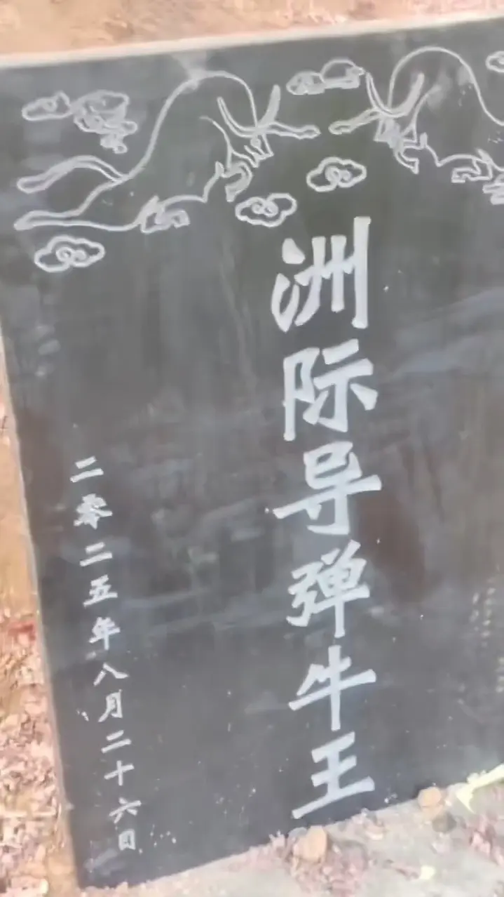 斗牛爱好者
