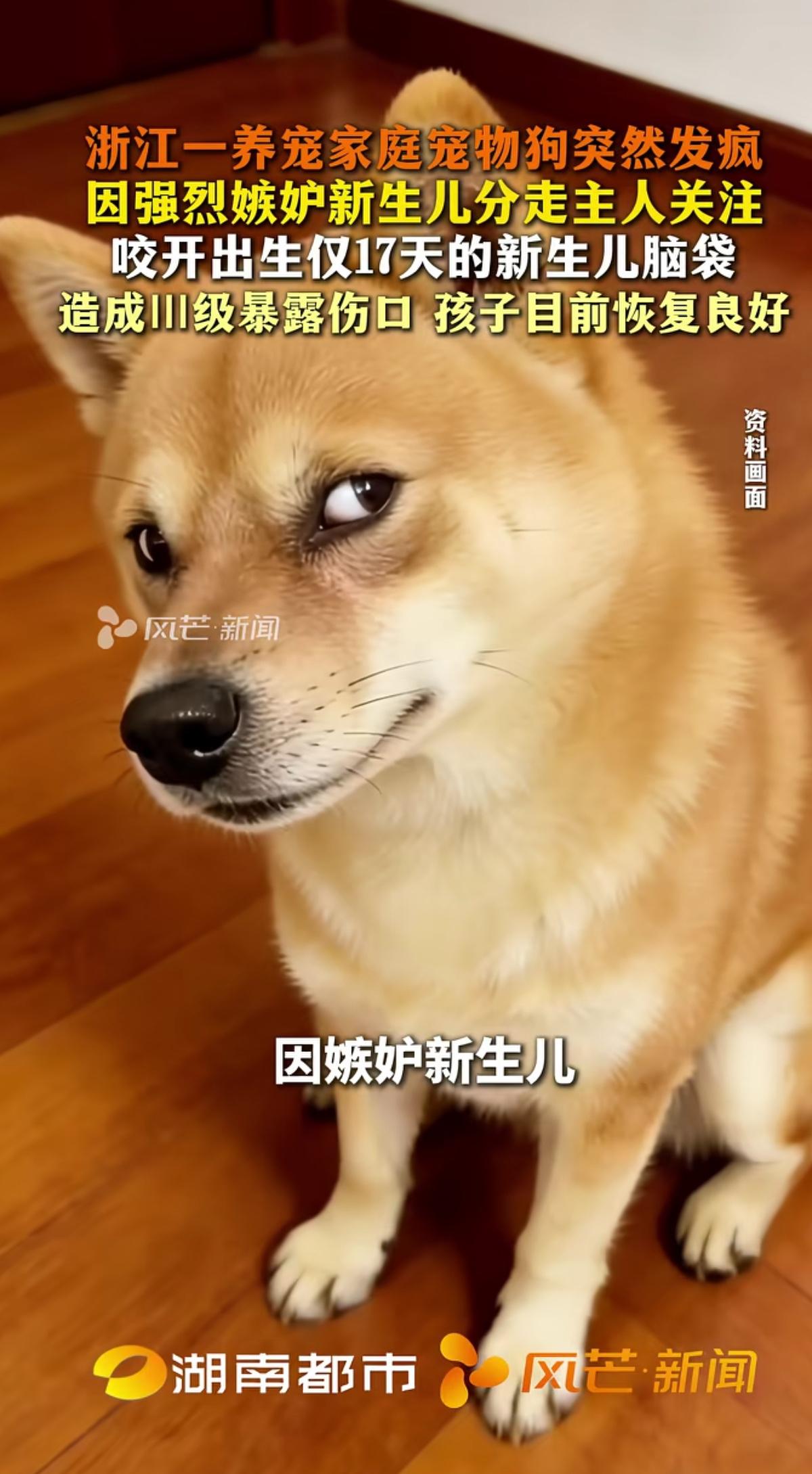 近日杭州一则意外，让无数家长捏紧了心。一名出生仅仅17天的新生儿，在家中遭到饲养