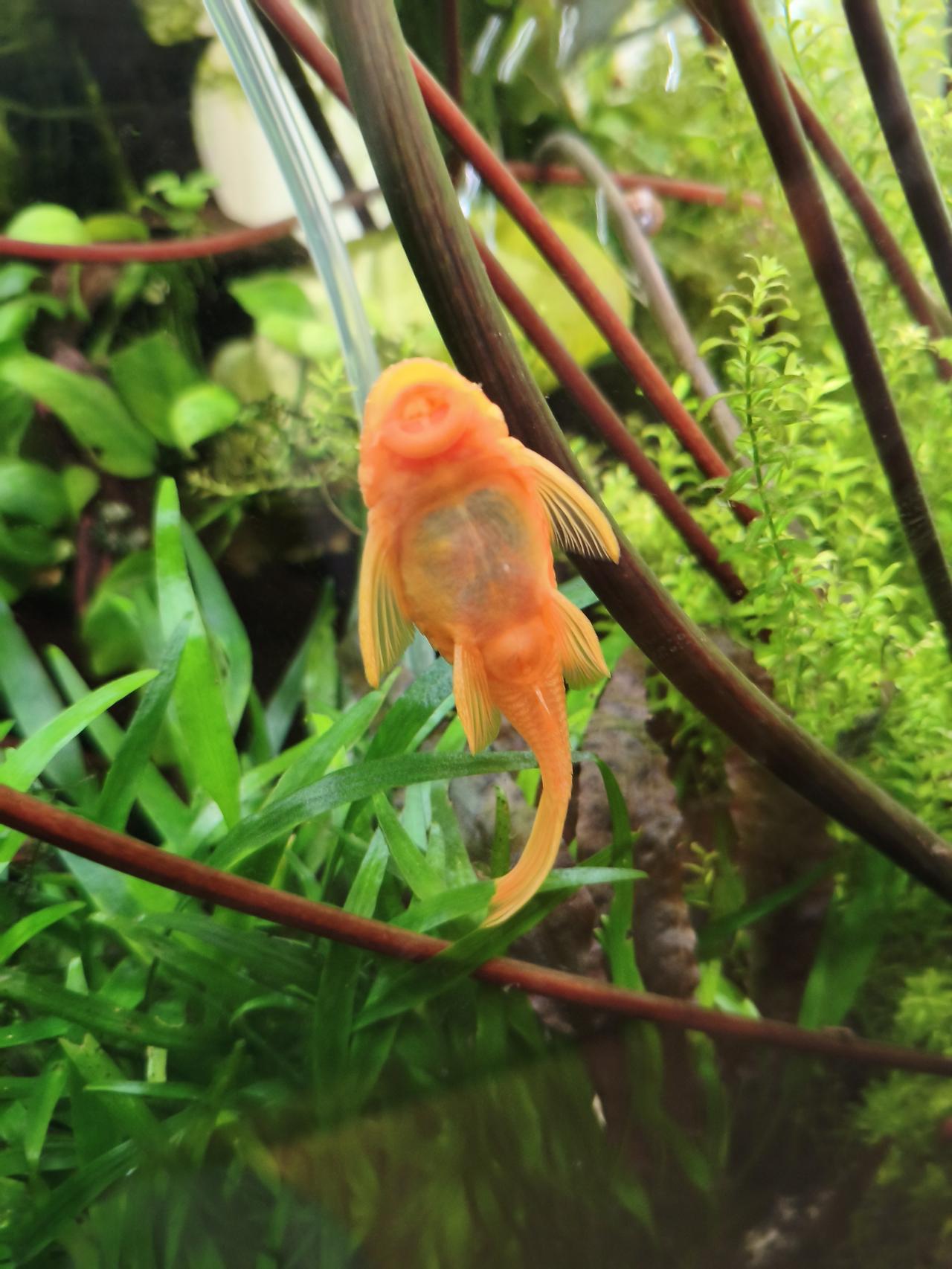 带定位晒今日生活