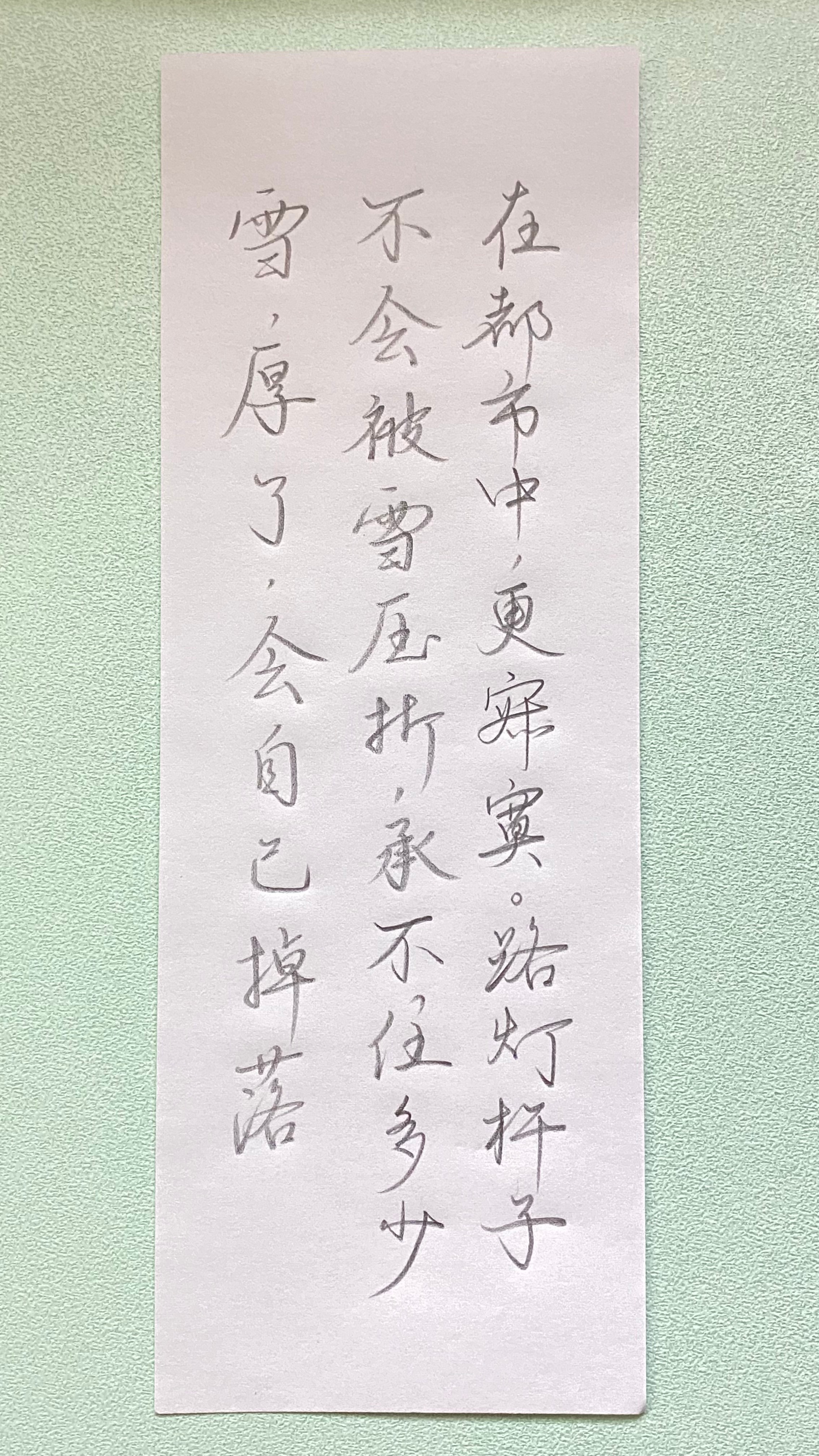 今日作业（2025.1.4）在都市中，更寂寞。路灯杆子不会被雪压折，承不住多少雪