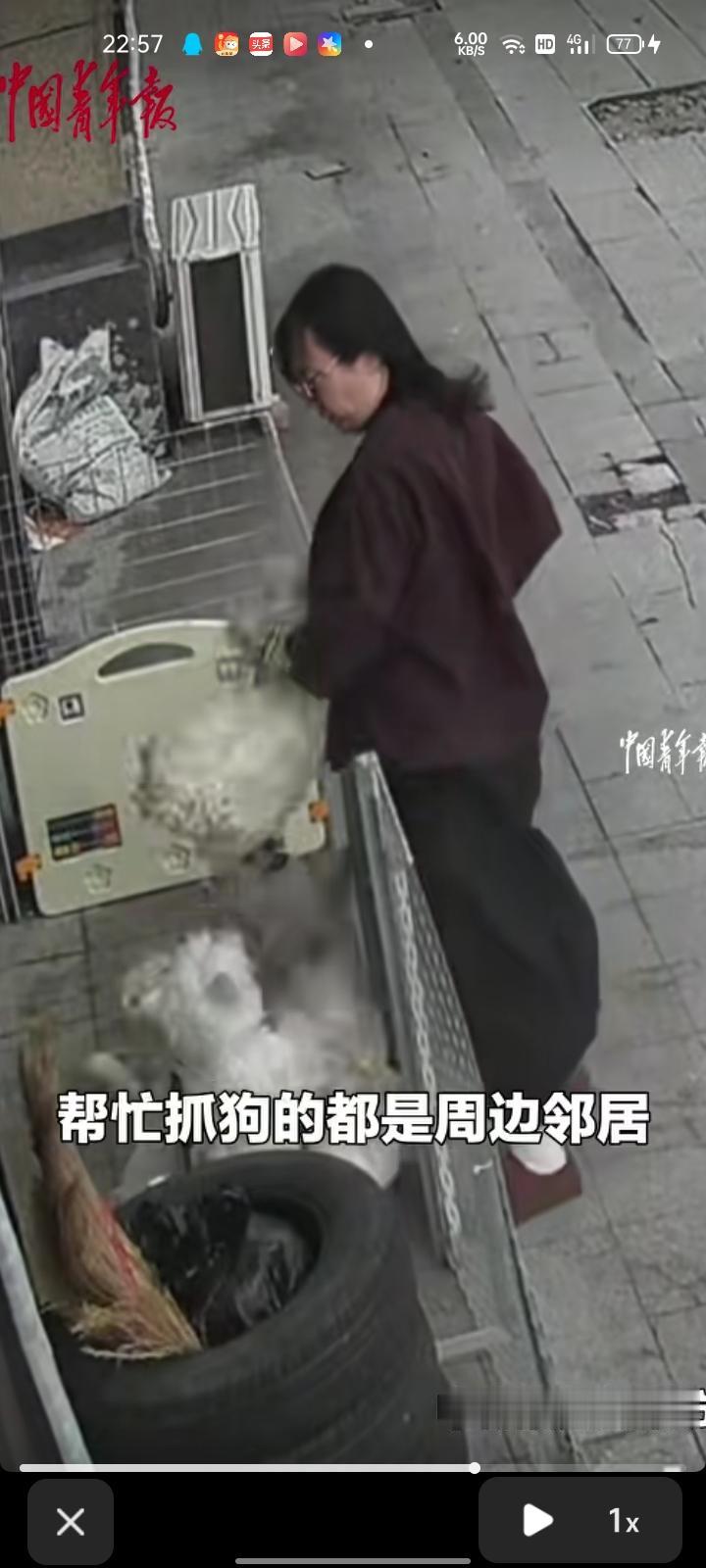 6月5日，吉林长春。宠物店围栏没锁好门，小狗两次出逃，店主骑摩托车去干。

当事