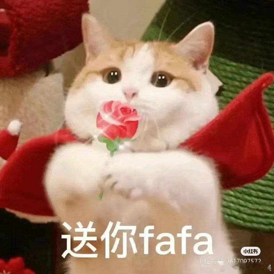 #陈默高考成绩#实在是太动人了吧，竟然取得了如此不错的成绩，实在是让人感受到了满