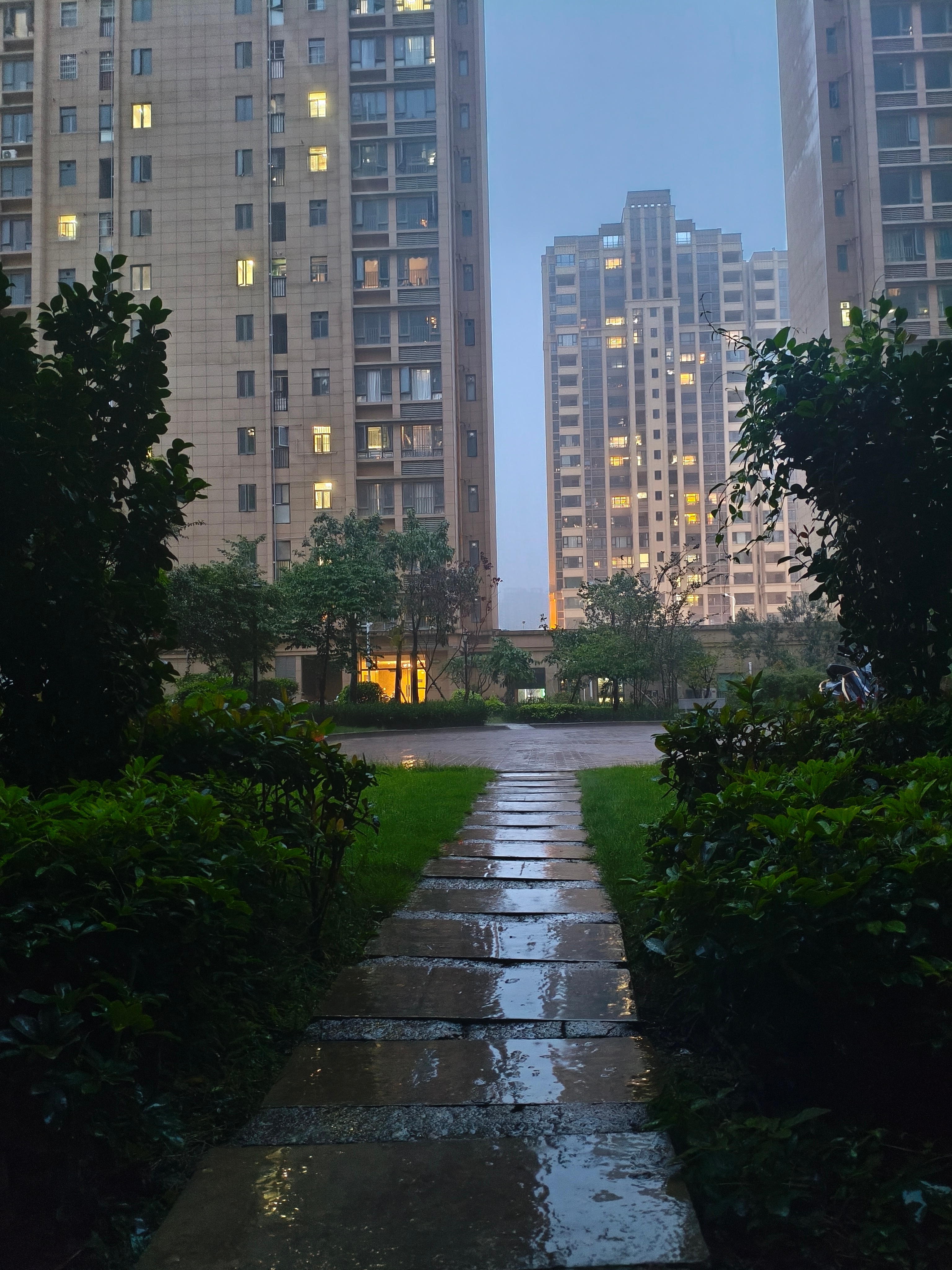 出门就下大雨，又在走廊里喂蚊子，真烦人 ​​​