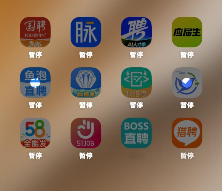 我找工作be like： 