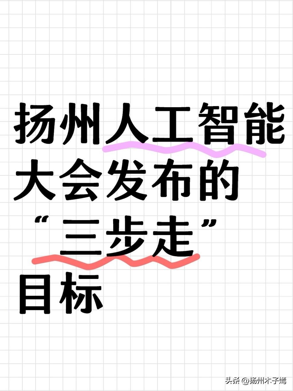 3月1日的扬州会议中心，一场人工智能发展大会彻底打破了大家对“政务会议”的刻板印