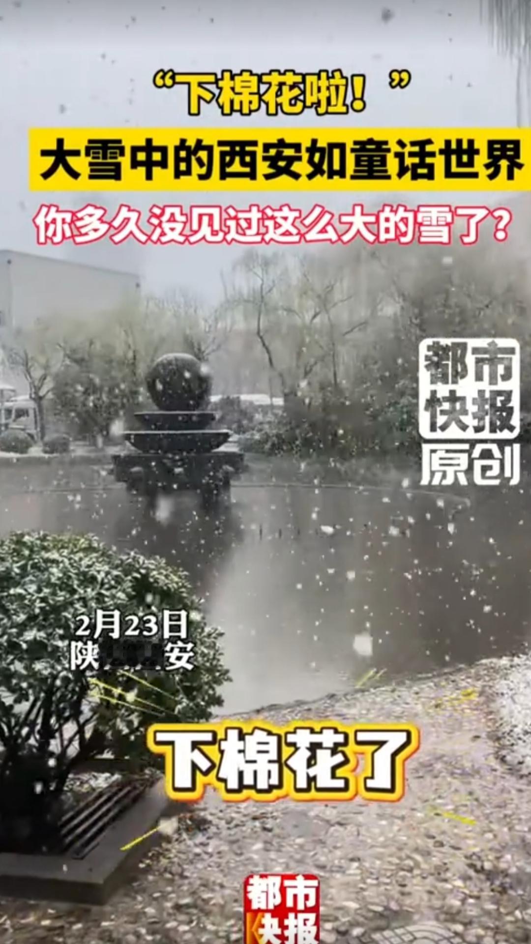 西安下大雪了
2月23日，西安下“棉花”啦，大雪中的西安如童话世界。这天下雪真是