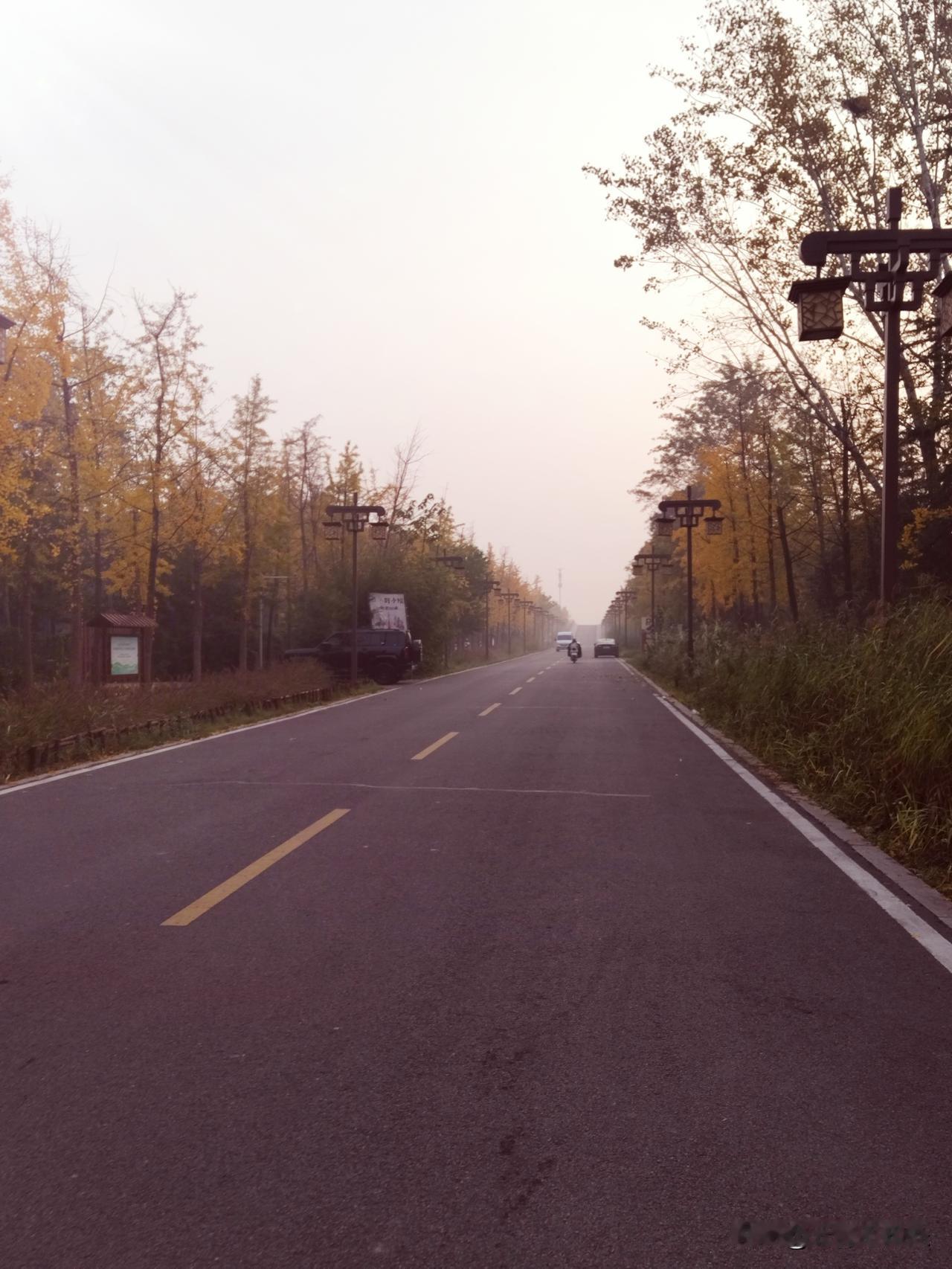 对女人而言，爱自己至关重要。生活中，女人往往身兼数职，极易忽略自身。调查表明，超