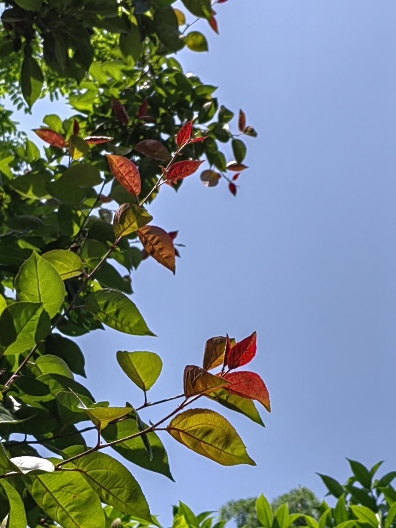 大学古汉语老师，一次解读起老人为什么“多事”。
他说：一个人，管了孩子二三十年，