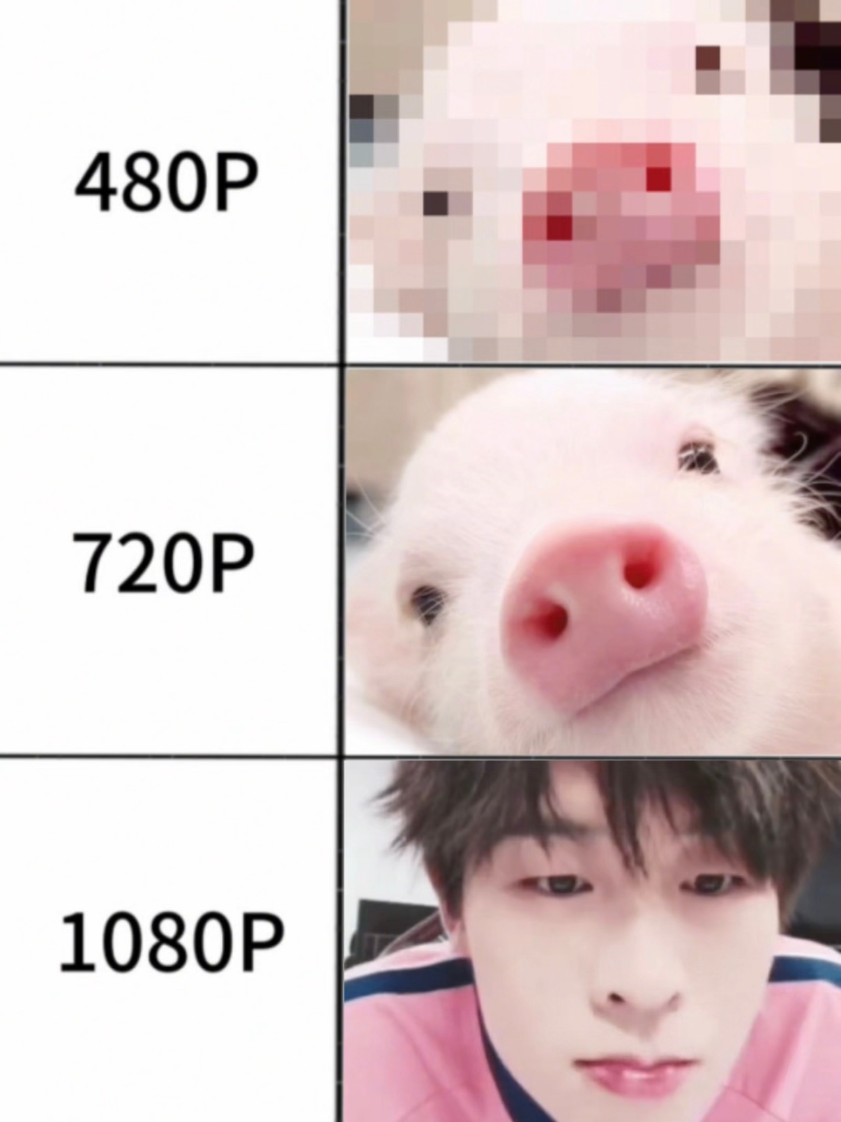 风箫箫飒飒  宝宝你是一只萌萌的小猪🐽 cr：姜丝茶 网页链接