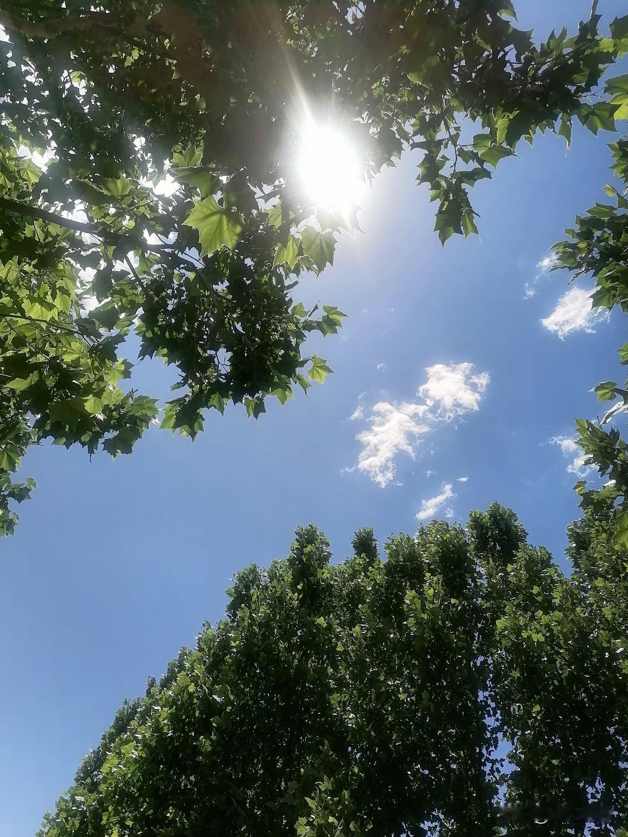 今天后半夜，北京将迎来又一轮降雪天气，下午天空渐渐阴沉，寒冷说来就来了。

忙完