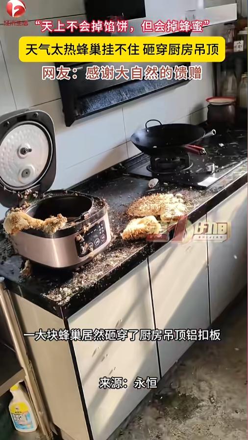 “大自然的馈赠！”7月15日报道，湖北襄阳，一户人家厨房里面的吊顶突然被砸穿了，
