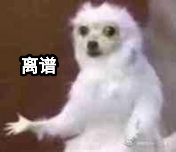 日职联两级反转太快了！ 