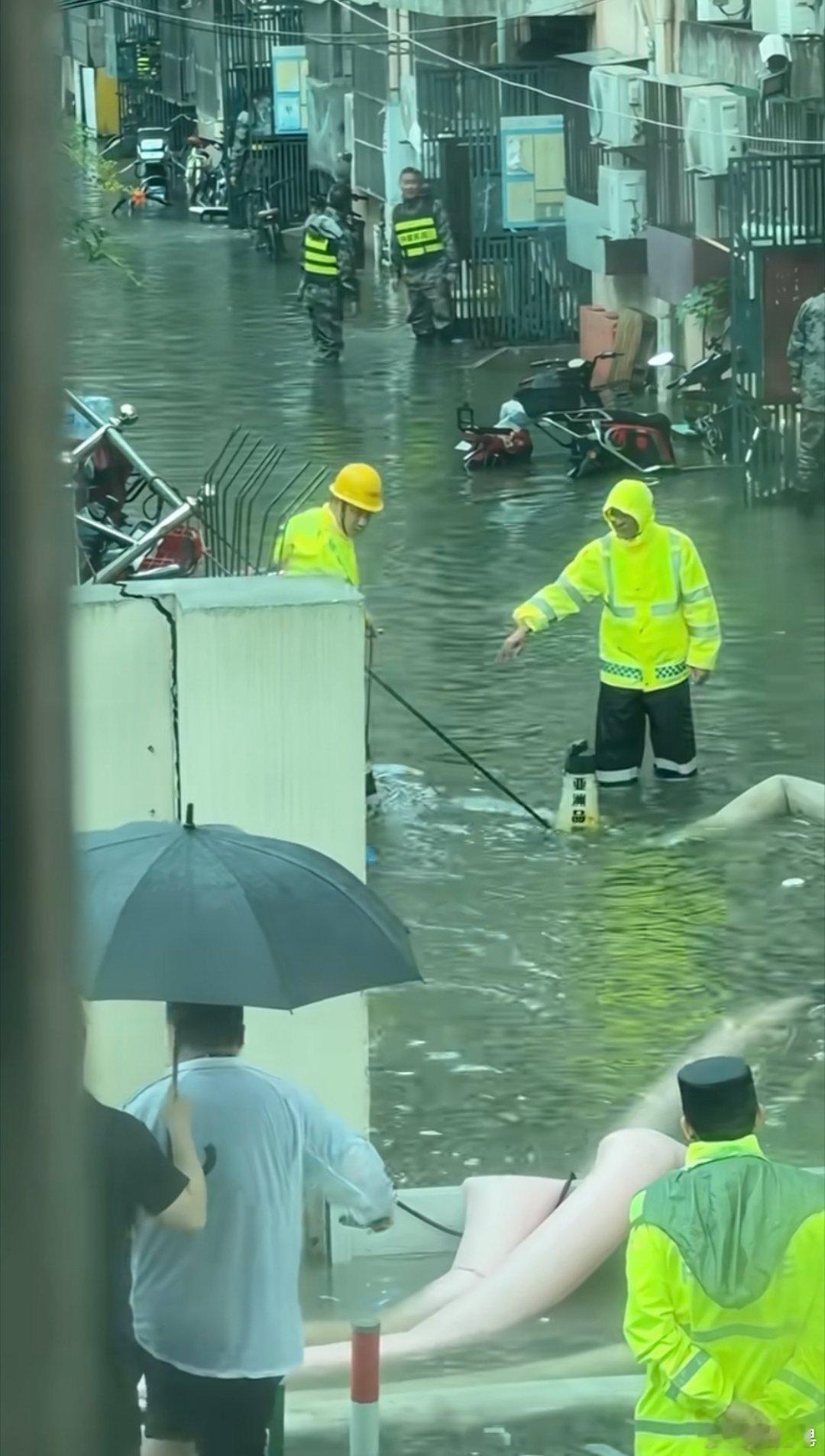 上海进入大航海时代 这个白海豚比上次巴威强太多了。关键这个时间好长啊，上海现在不