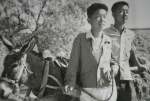 1970年，17岁知青偷吃老乡2只鸭子，老乡大怒：“赔钱，20块钱一分都不能少！