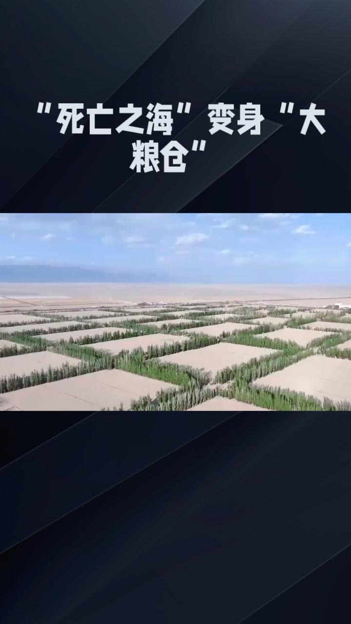 “死亡之海”变身“大粮仓”，沙漠里如何长出万亩良田？
近日，外交部发言人分享的一