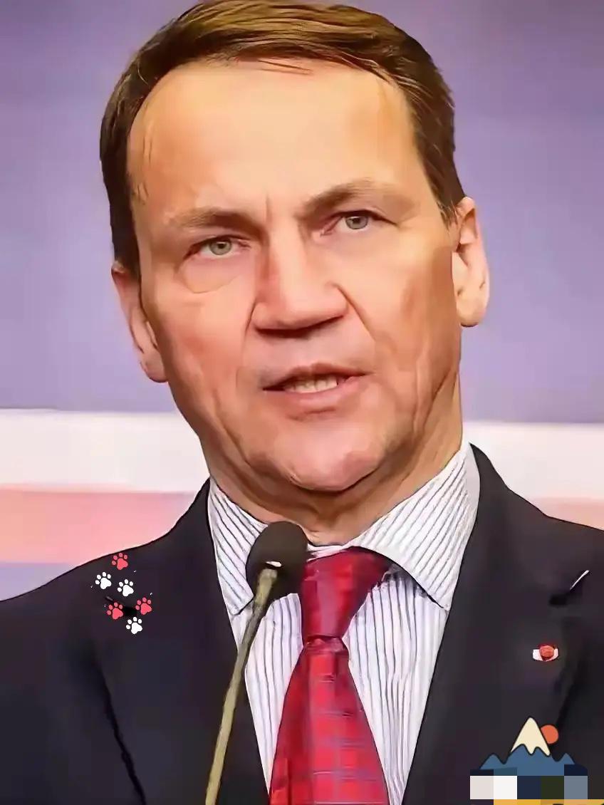 万万没想到！波兰正式宣布维持部分乌克兰农产品进口禁令


这一决定直接打了欧盟“