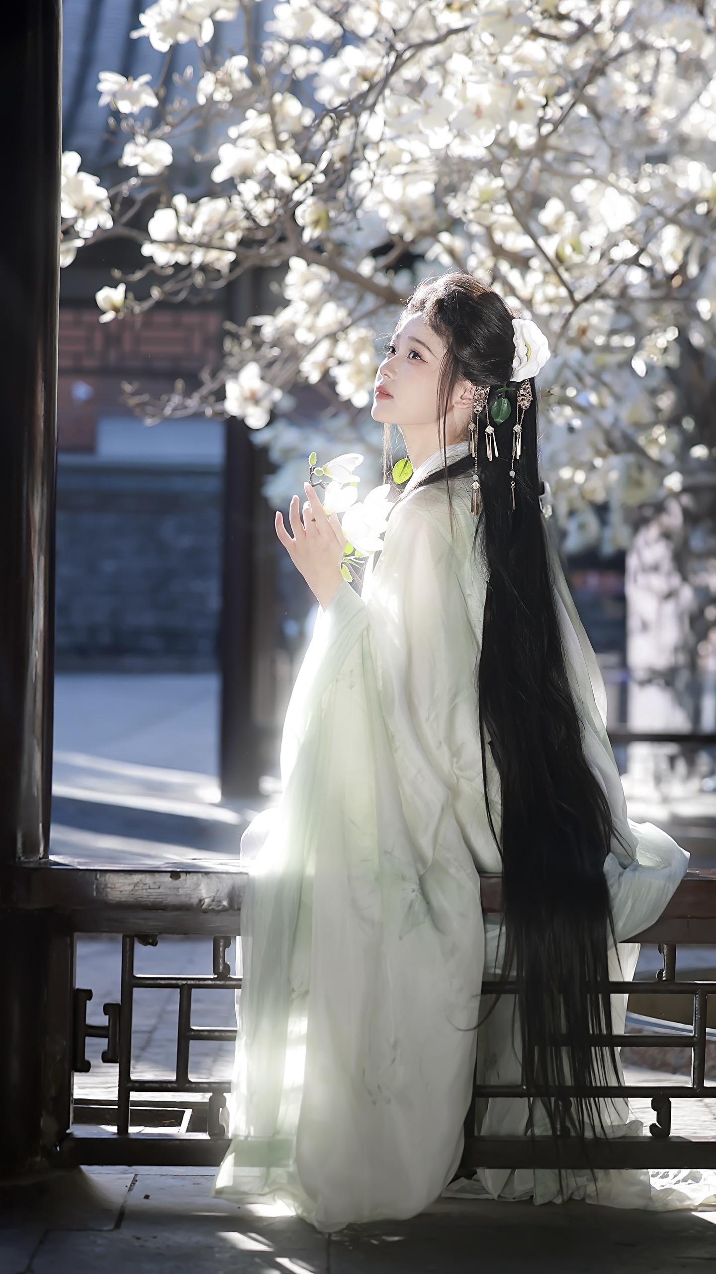 冰心一片晓风开。美丽的玉兰花～ 🧚‍♀️：小九 💄