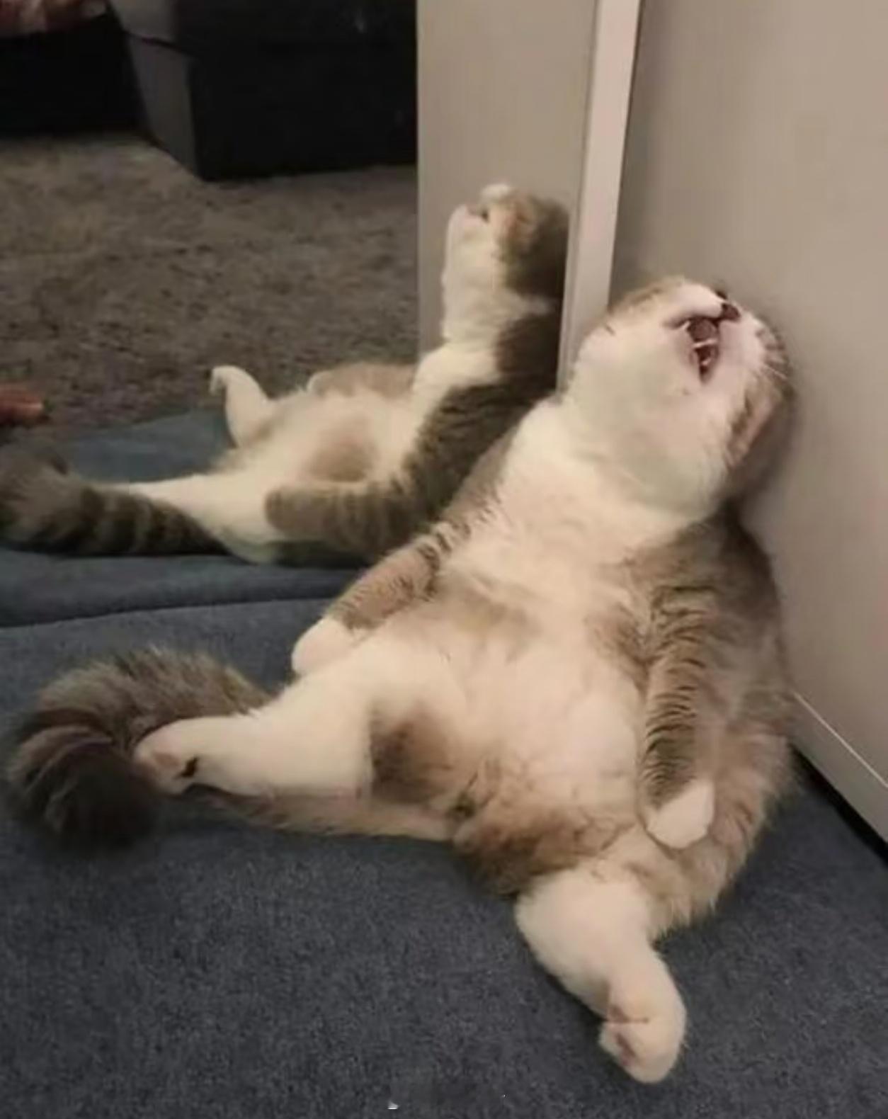 半夜醒来千万不要看时间我现在不管上班还是不上班，都会在早上9点醒，就算熬夜到3点