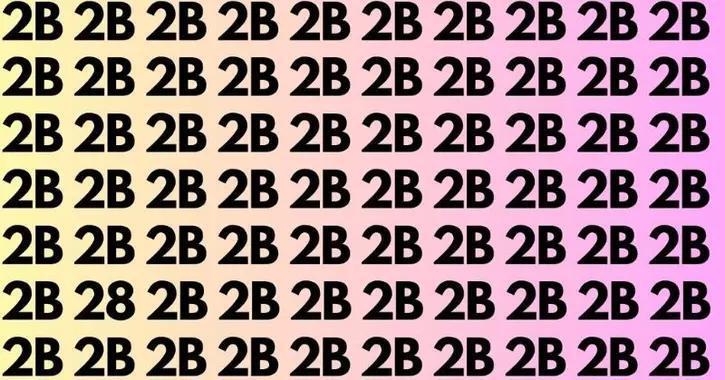 在这片由密密麻麻“2B”组成的字符海洋里，藏着一个“叛徒”——数字“28”。它们