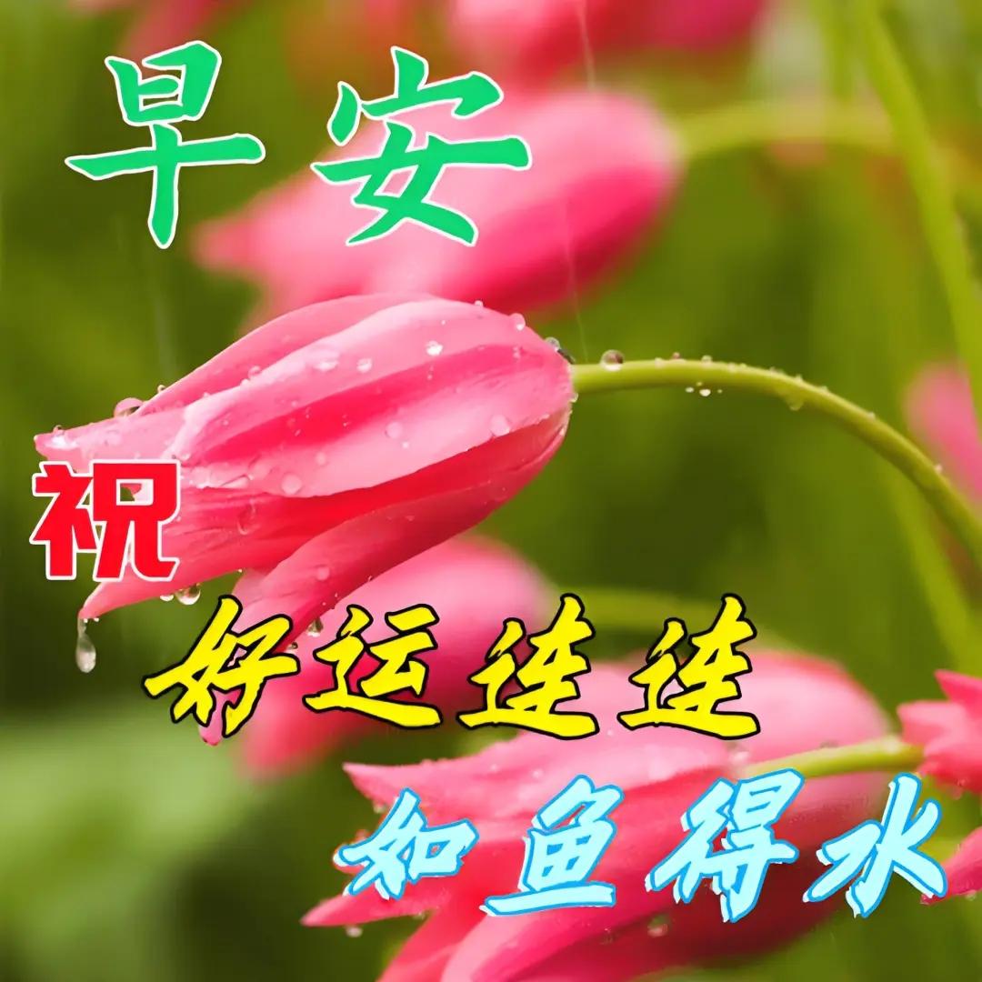 如果整容不花钱，你愿意整吗整容不花钱，我也不会去整，容貌是天生的，爹妈给的，顺其