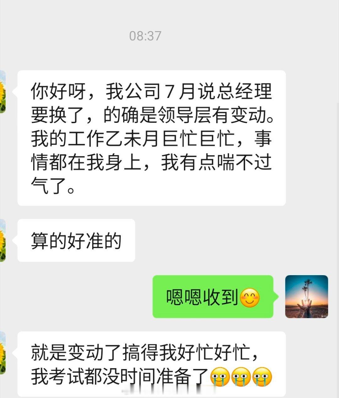 客户今天的月运反馈。领导层调动或者自己调动，这一条在实践中，我发现，应验率非常的