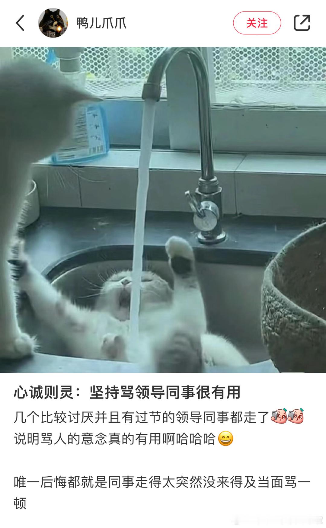 好灵的嘴 ​​​