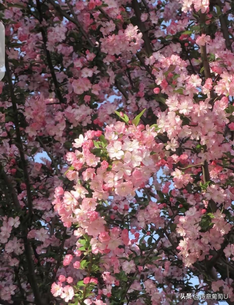 江苏淮安一个16岁的女生，之前频频跟同班的男生表白，可每次都被拒绝了，她却总觉得