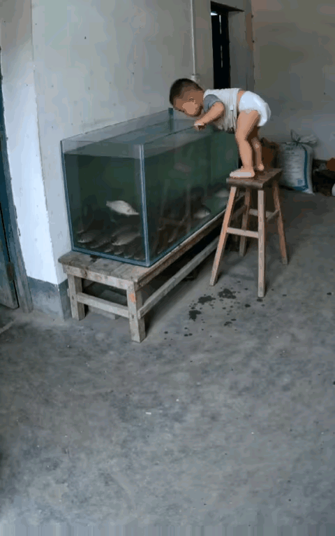 哦豁
大人不阻止孩子
还在旁边拍视频
心❤️也太大了吧？[抠鼻]