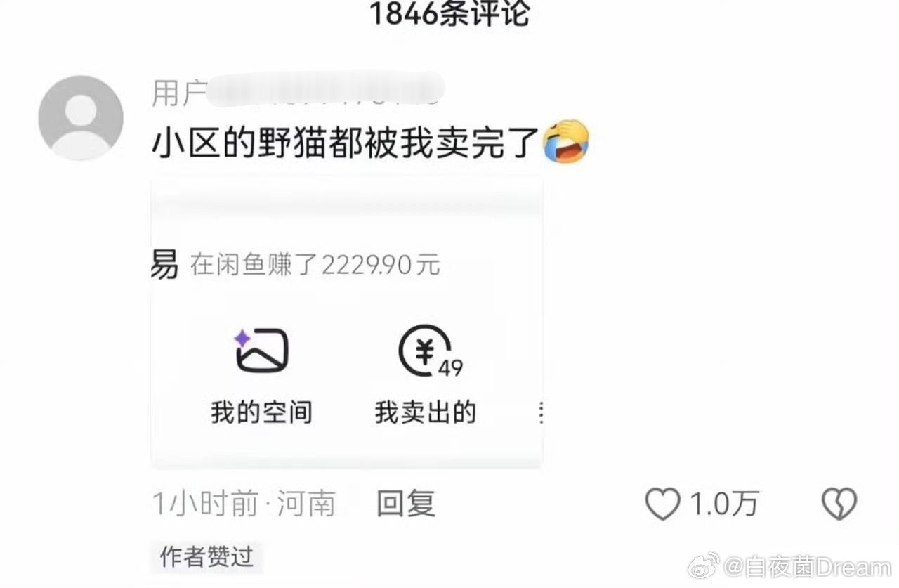 怪不得最近小区里的流浪猫少了