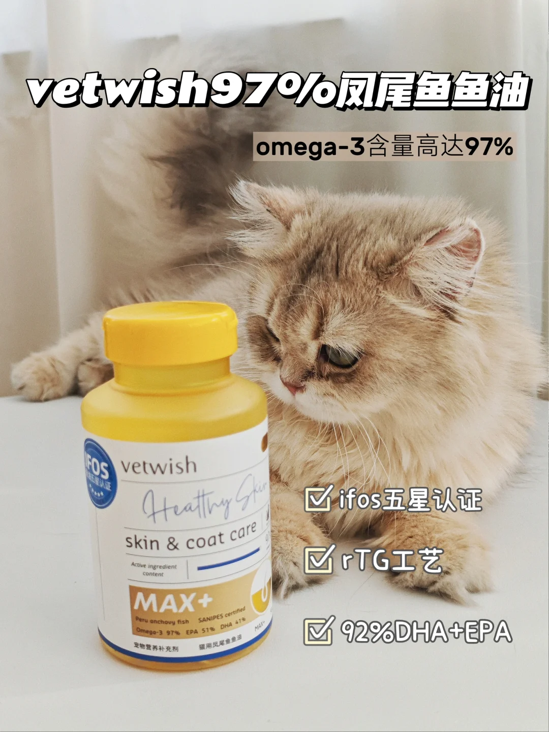 到底是谁说猫咪鱼油没有用的！！！