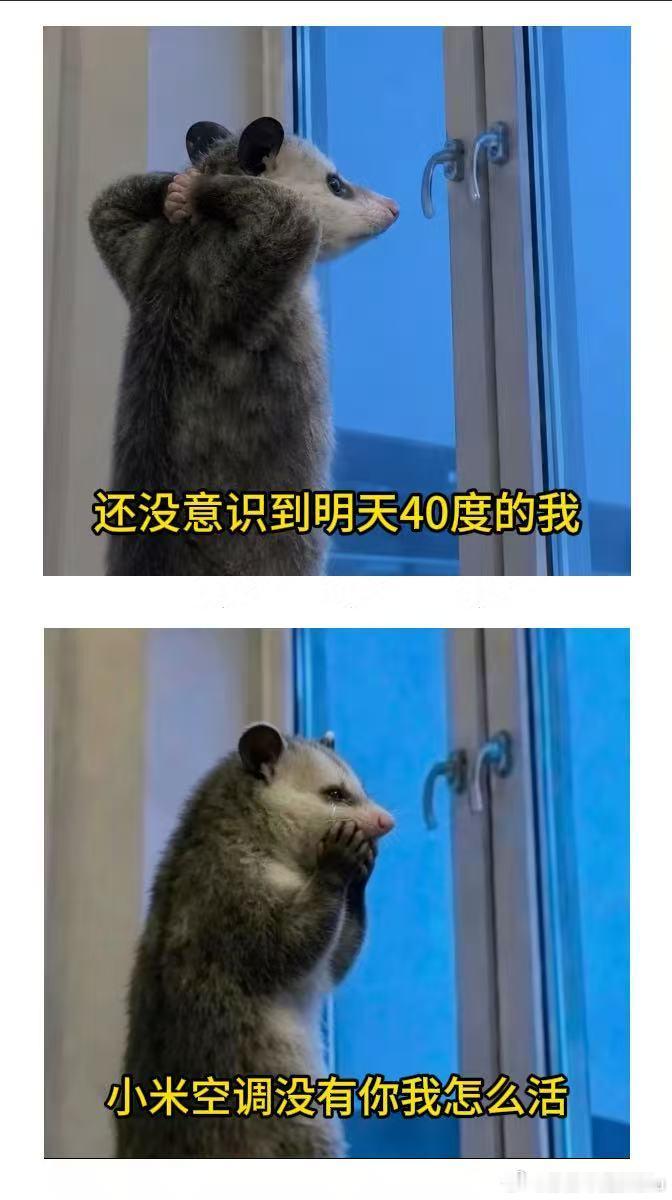 新疆 祛湿气五月新疆秒变天然蒸笼，出门闷热又黏腻煎熬。幸好有小米强劲风空调坐镇家
