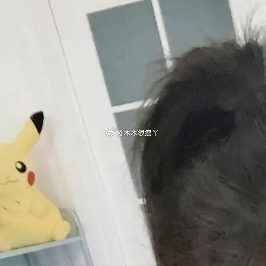 司晓迪陈翔合照 