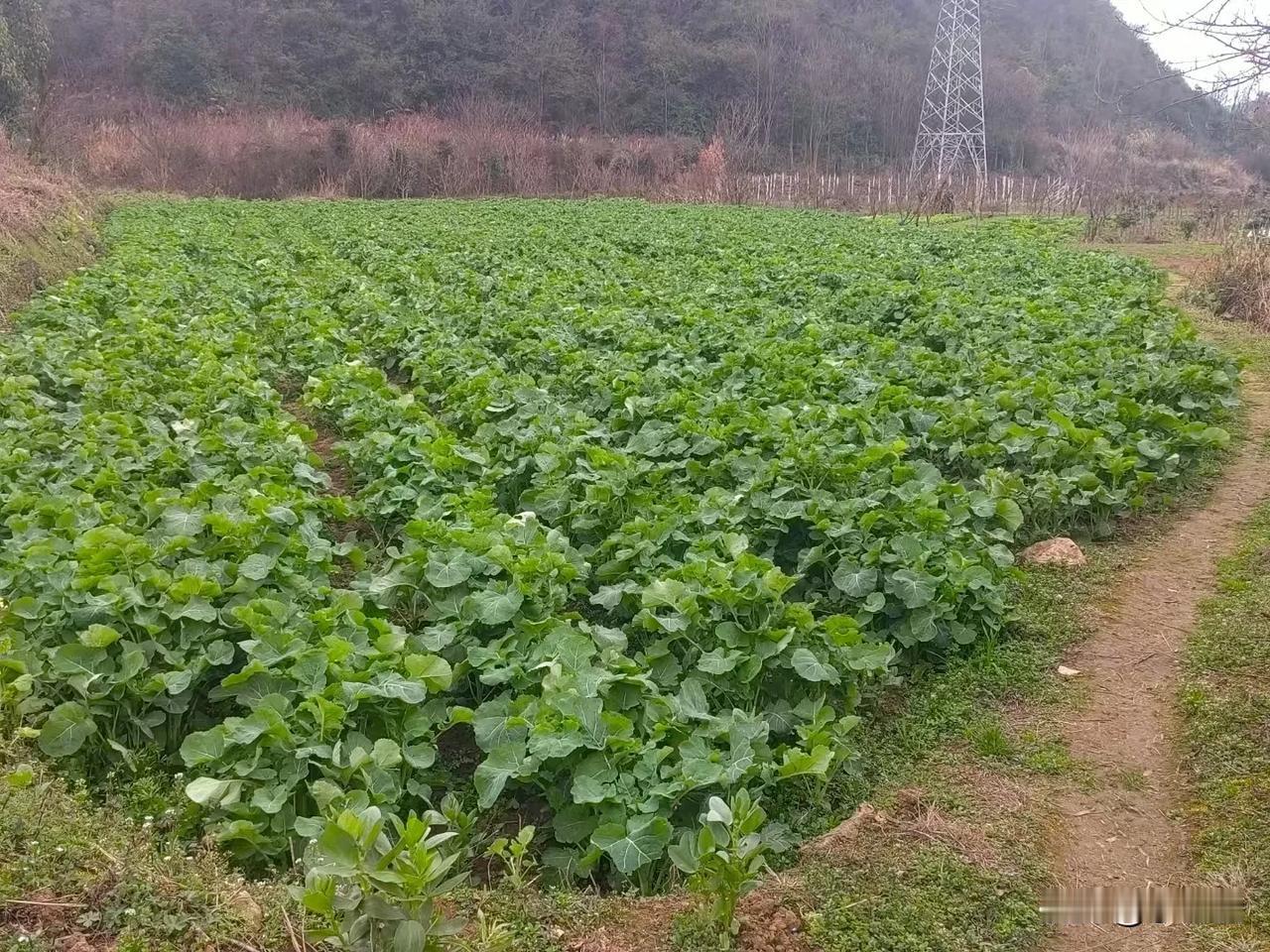 我有一个奇怪的同事，你说他的人品差吧，在一起上班的时候，对人又非常友好，有事的时