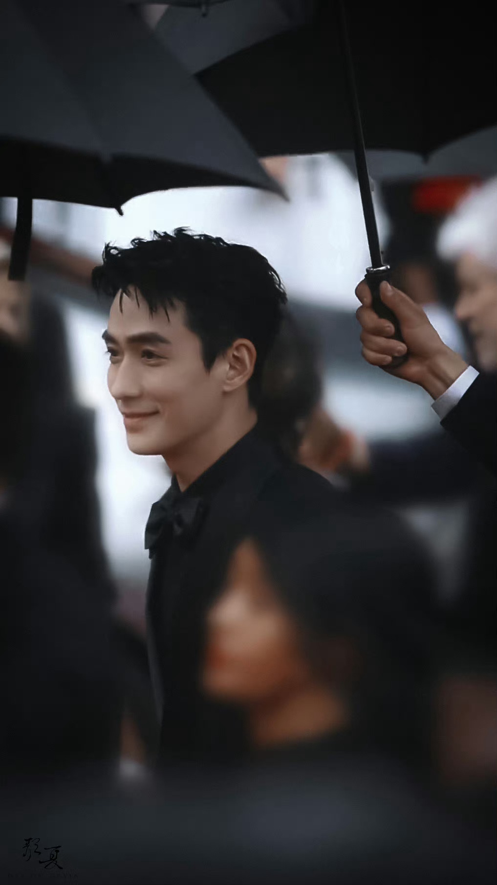 朱一龙朱一龙2026青云同路朱一龙 挚敬同路人几云浅染的破晓秋色，惹了窗前流年的